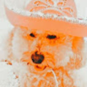 Meet your Posher, Str9berrii